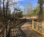 Walks with Ted - Friendship Forest