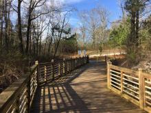 Walks with Ted - Friendship Forest